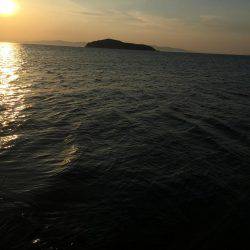 単身赴任釣行記 夢の大台❗️