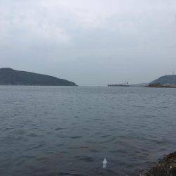 単身赴任釣行記