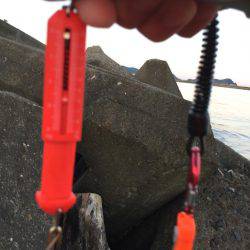 単身赴任釣行記 記録更新!