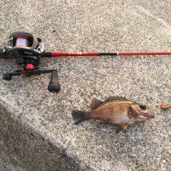 仕事終わりからの