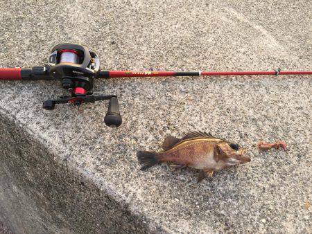 仕事終わりからの