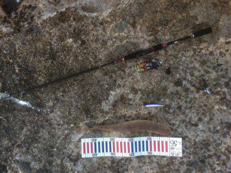 洲本から土生ランガン