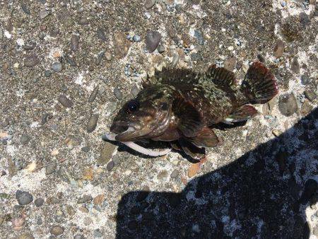 デイライトゲーム