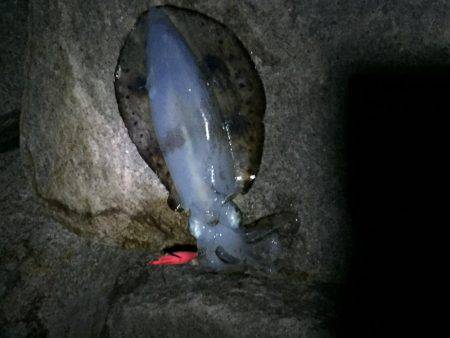 初のキロアップ