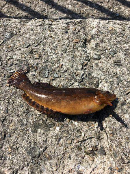 アブ新はどこ？