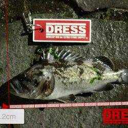 雨のメバリング