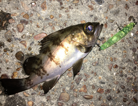 会社帰りプラッキング