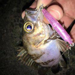 毎日会社帰りプチメバリング