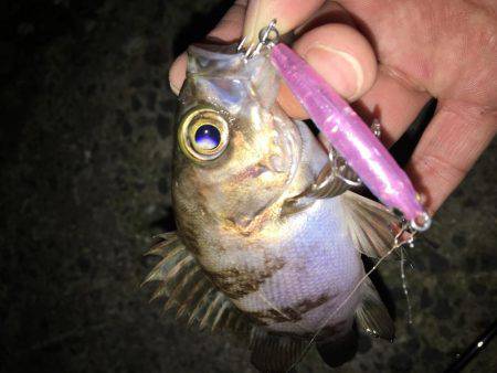 毎日会社帰りプチメバリング