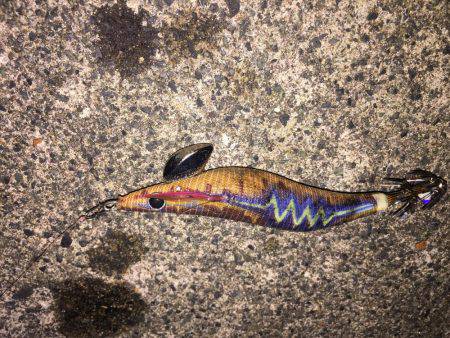 やっと釣れました。