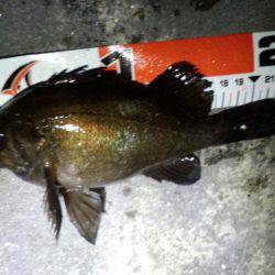 ﾒﾊﾞﾘﾝｸﾞ苦戦