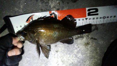 ﾒﾊﾞﾘﾝｸﾞ苦戦