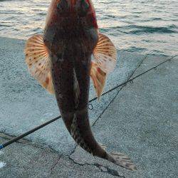 サーフジギング