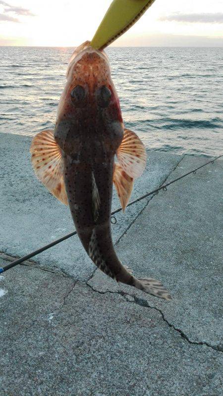 サーフジギング