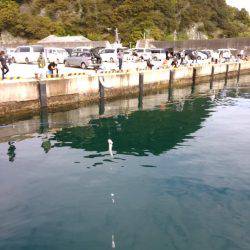 ファミリーフィッシング