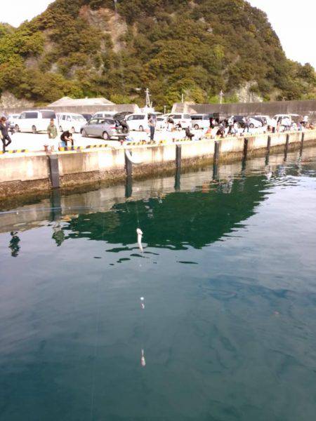 ファミリーフィッシング