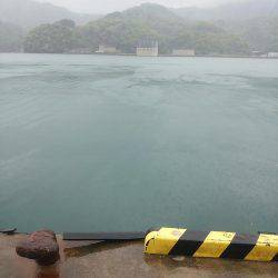 ボウズはつらいよ