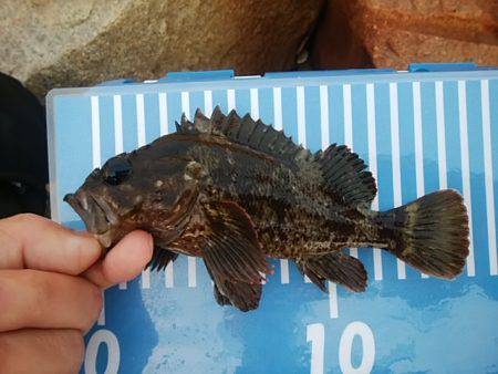 穴釣りのちメバリング