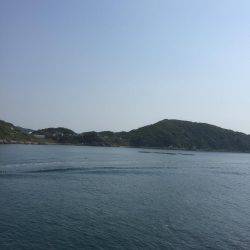 いろんな釣りを楽しんだ