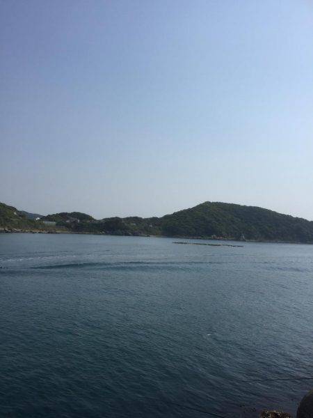 いろんな釣りを楽しんだ