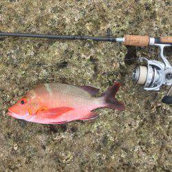 久米島リーフエッジ