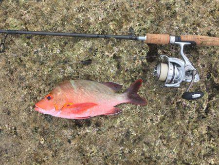 久米島リーフエッジ