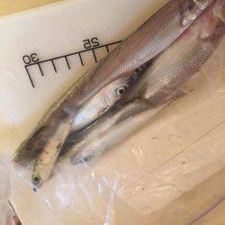 ライトライトライト