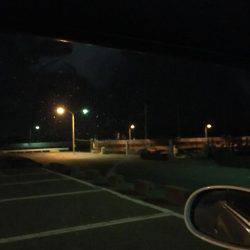 メバル！到来！