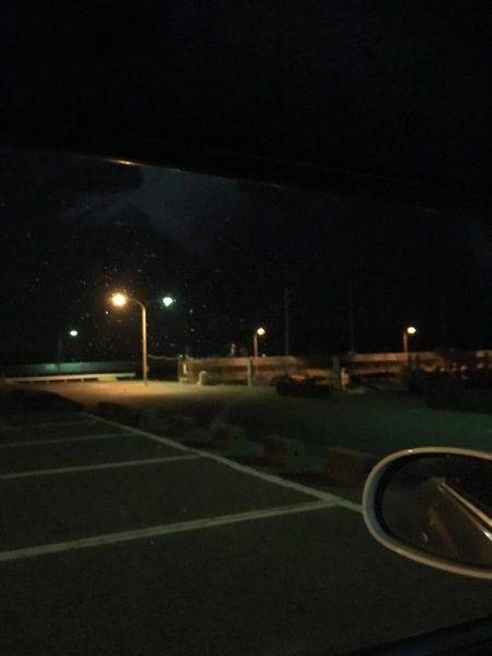 メバル！到来！