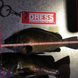 ポツポツ当たりました。