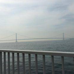 ベイトが湧くも