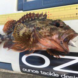 神戸沖堤防でライトワインド