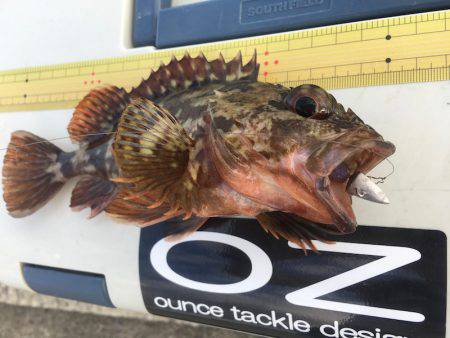 神戸沖堤防でライトワインド