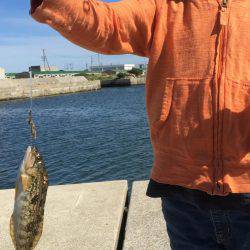 キスちょい投げ