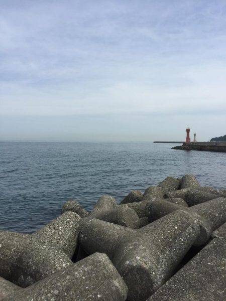 エギングからのガッシー