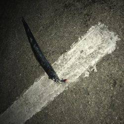 久しぶりのワインド!