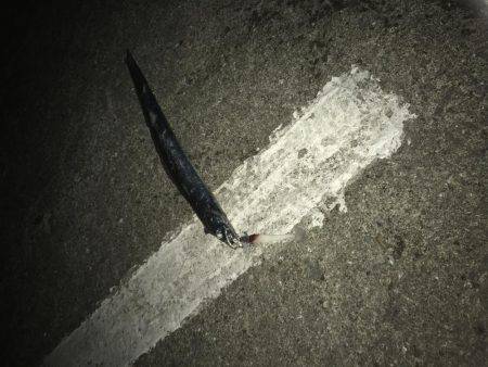 久しぶりのワインド!