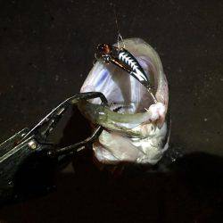 シーズンインの兆し