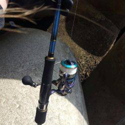 エギングに来たはずが...