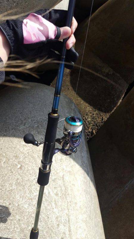 エギングに来たはずが...