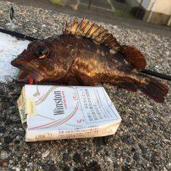 ロックフィッシュフェス