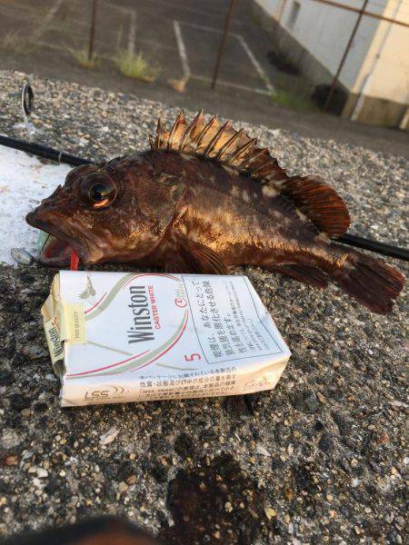 ロックフィッシュフェス