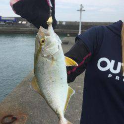 エギングの合間に...