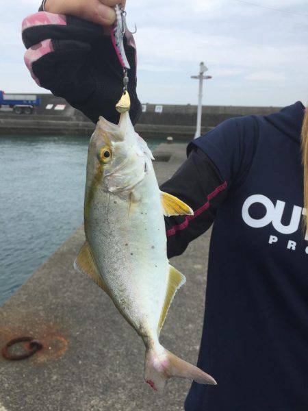 エギングの合間に...