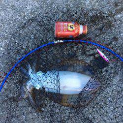 \”事故\”新記録