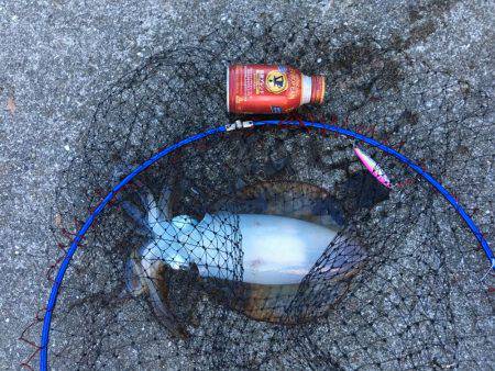 \”事故\”新記録