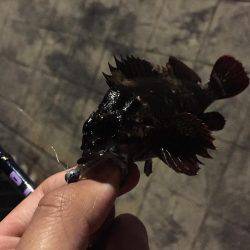 準備は万全に…