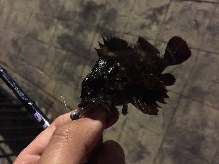 準備は万全に…