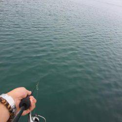 渋い中の一杯！