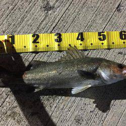 谷口くんやりましたー！